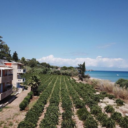 Memi View A1 Apartment Koroni  Exterior photo