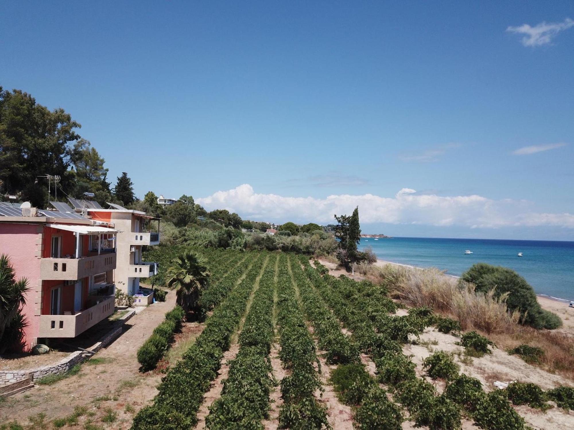 Memi View A1 Apartment Koroni  Exterior photo